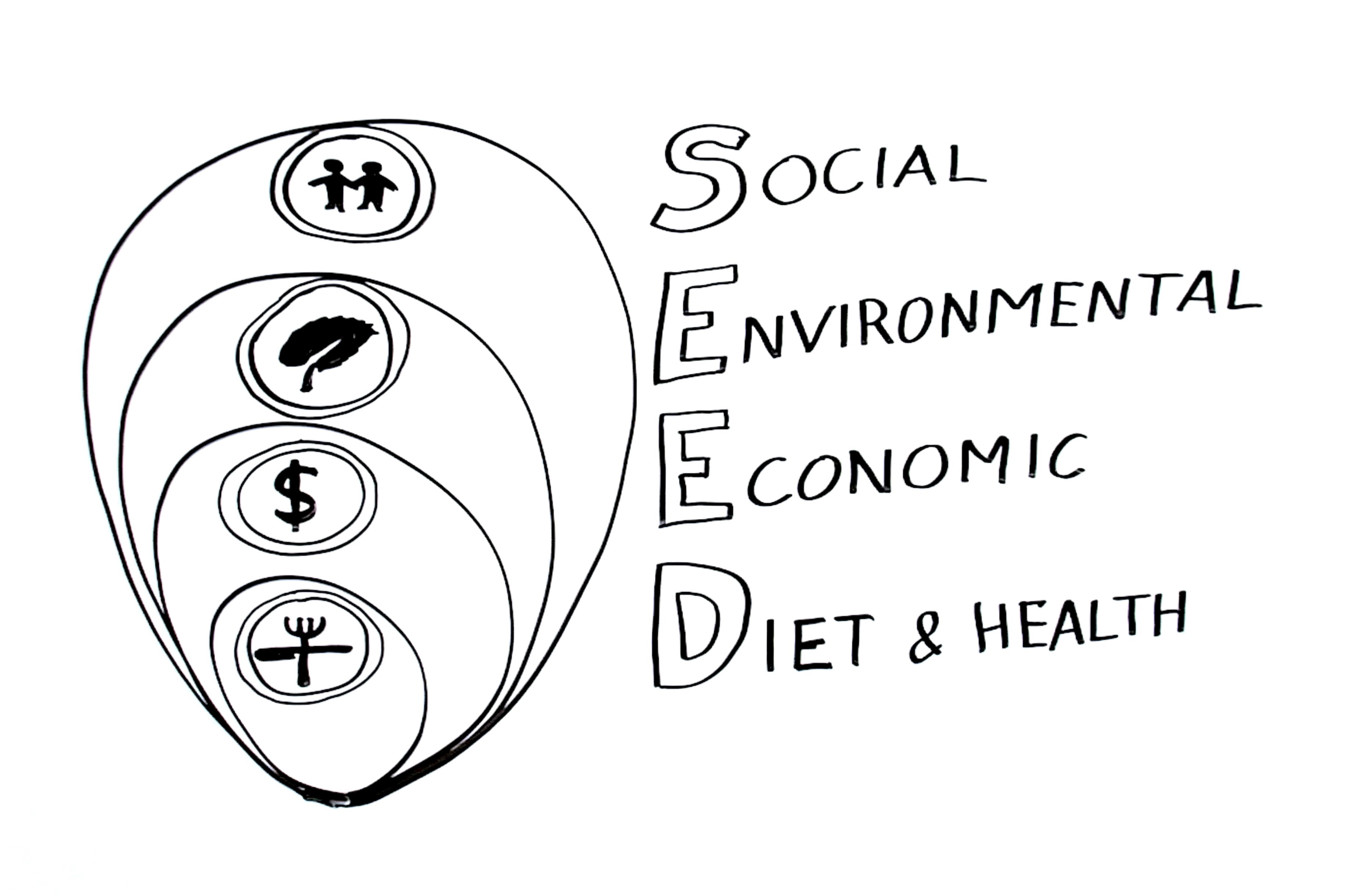 SEED model 3-2